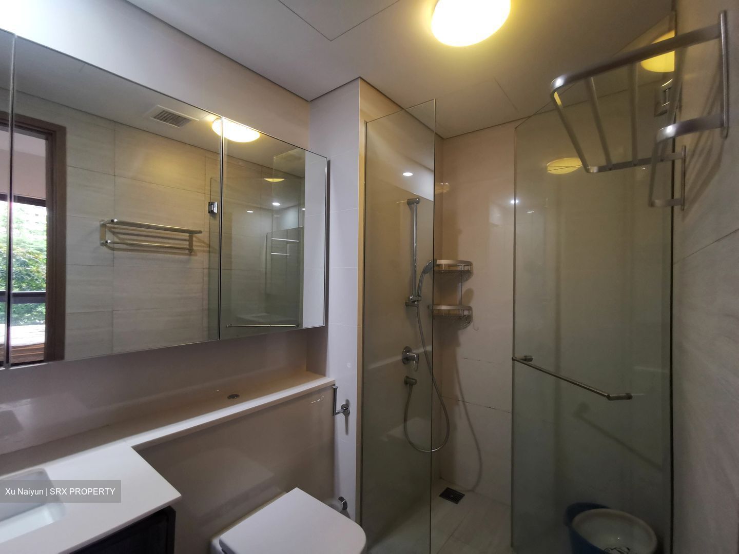 Lakeville (D22), Condominium #630739931